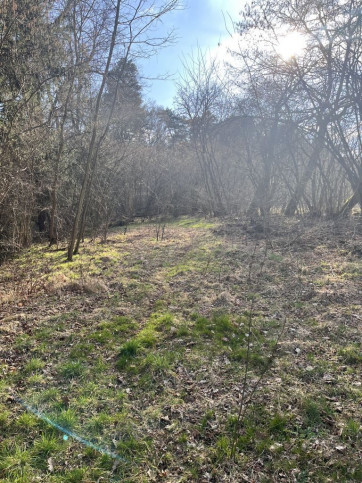 Działka Sprzedaż Ostrów 5