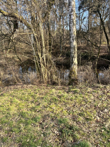Działka Sprzedaż Ostrów 6