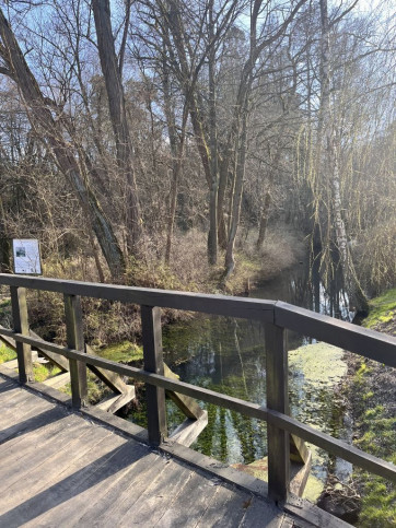 Działka Sprzedaż Ostrów 4