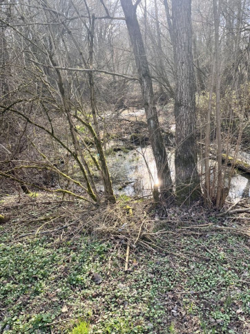 Działka Sprzedaż Ostrów 6