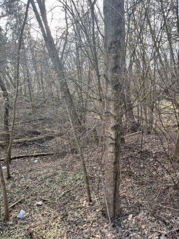Działka Sprzedaż Ostrów 7