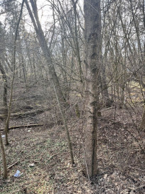 Działka Sprzedaż Ostrów