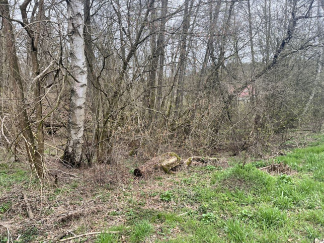 Działka Sprzedaż Ostrów 1