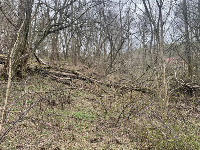 Działka Sprzedaż Ostrów 2