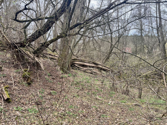 Działka Sprzedaż Ostrów 8