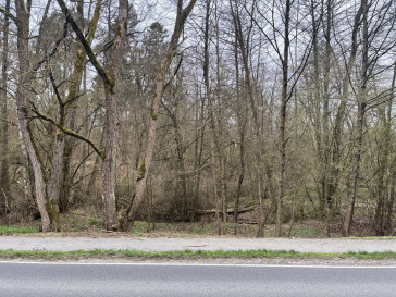 Działka Sprzedaż Ostrów