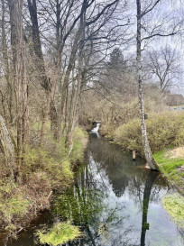 Działka Sprzedaż Ostrów