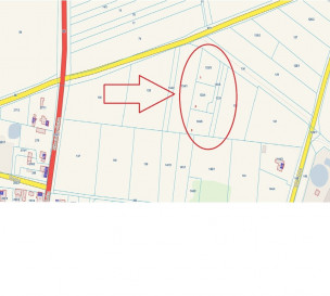 Działka Sprzedaż Stare Polichno