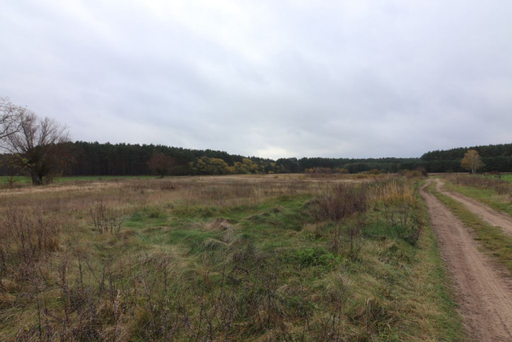 Działka Sprzedaż Trzebów 4