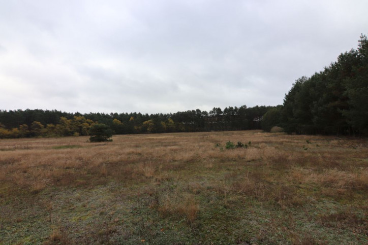 Działka Sprzedaż Trzebów 1