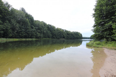 Działka Sprzedaż Sosny