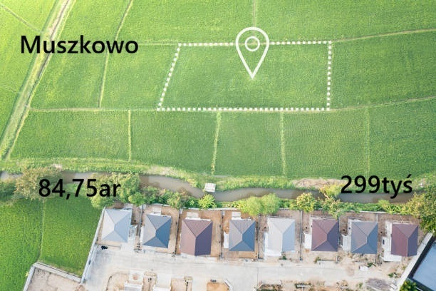Działka Sprzedaż Muszkowo 1