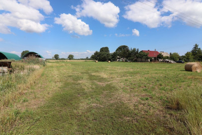 Działka Sprzedaż Karkoszów