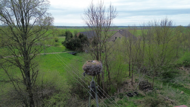 Działka Sprzedaż Studzionka 7