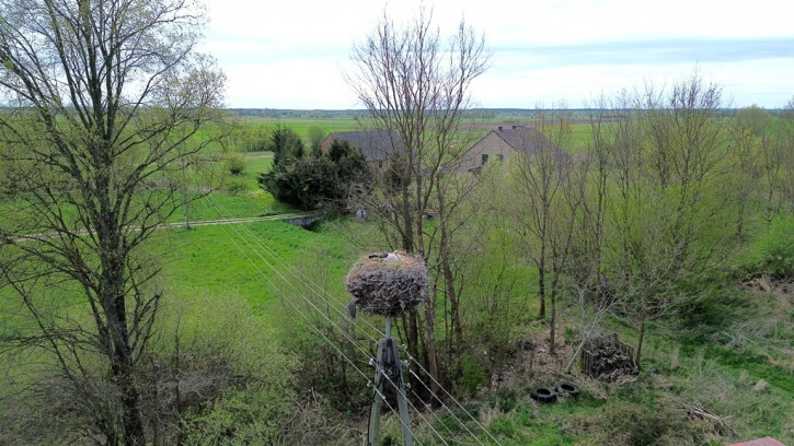 Działka Sprzedaż Studzionka 3