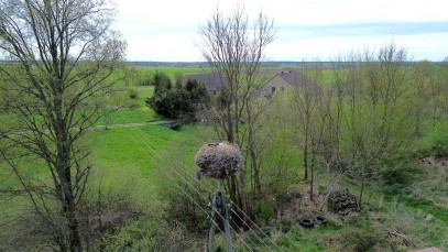 Działka Sprzedaż Studzionka
