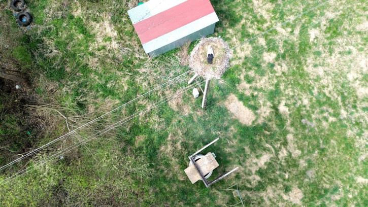 Działka Sprzedaż Studzionka 20