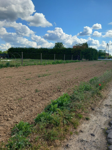 Działka Sprzedaż Gorzów Wielkopolski Chwalęcice Dolne Lipowa 13