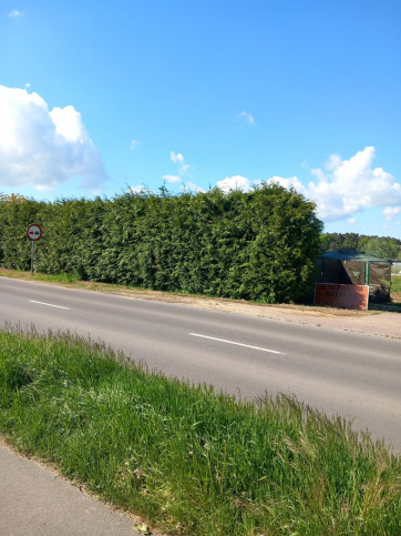 Działka Sprzedaż Gorzów Wielkopolski Chwalęcice Dolne Lipowa 15