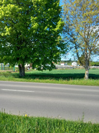 Działka Sprzedaż Gorzów Wielkopolski Chwalęcice Dolne Lipowa