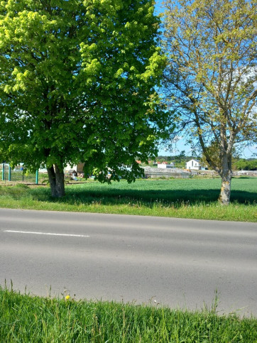 Działka Sprzedaż Gorzów Wielkopolski Chwalęcice Dolne Lipowa 3