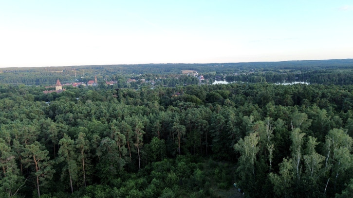 Działka Sprzedaż Lubniewice 11